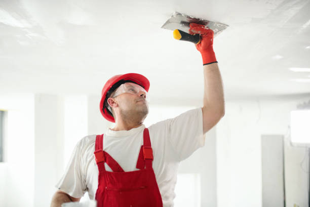Oxford, MS Mold Removal Company