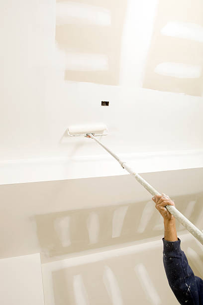 Best Attic Mold Removal  in Oxford, MS
