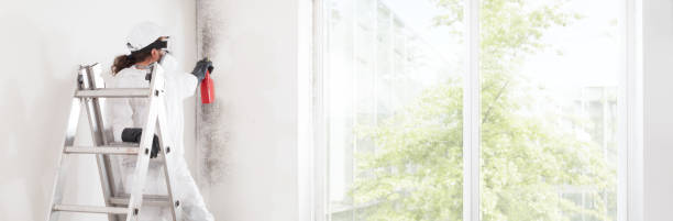 Best Dehumidification Services  in Oxford, MS