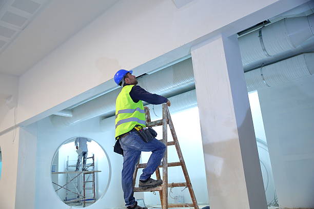 Best Basement Mold Removal  in Oxford, MS